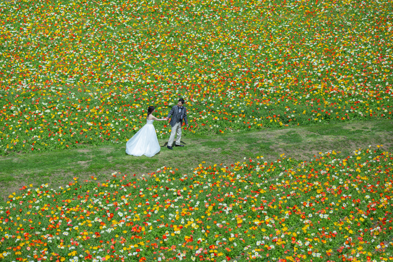 【淡路島花さじきプラン】広大なお花畑でロケーション◇200カット以上全データ付き