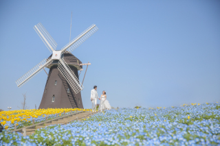 風車や花畑がウェディングドレスに似合い、スイートな写真に