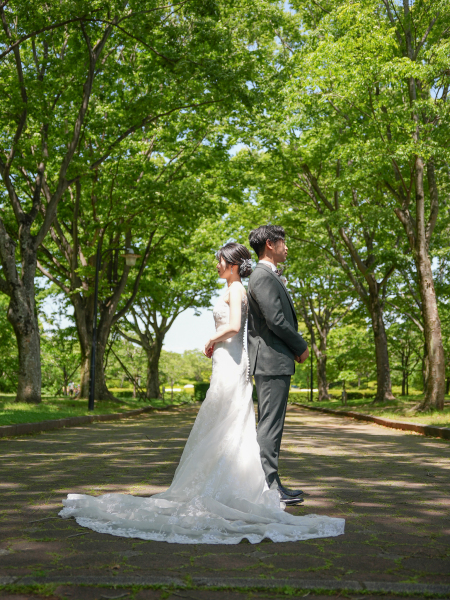 新緑が鮮やかな公園フォト!