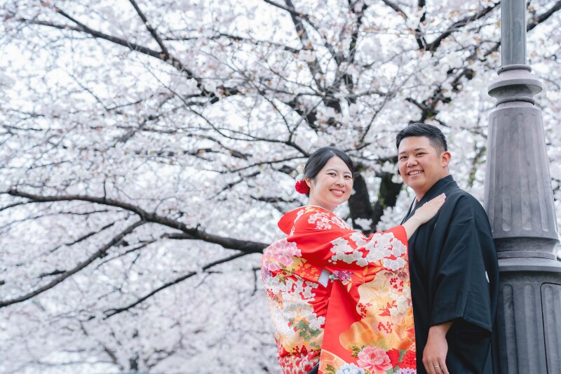 桜撮影