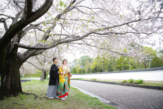 和装美人！桜ロケ/茶室ロケ