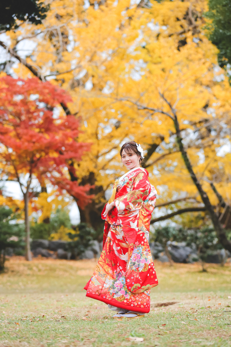 モミジとイチョウ