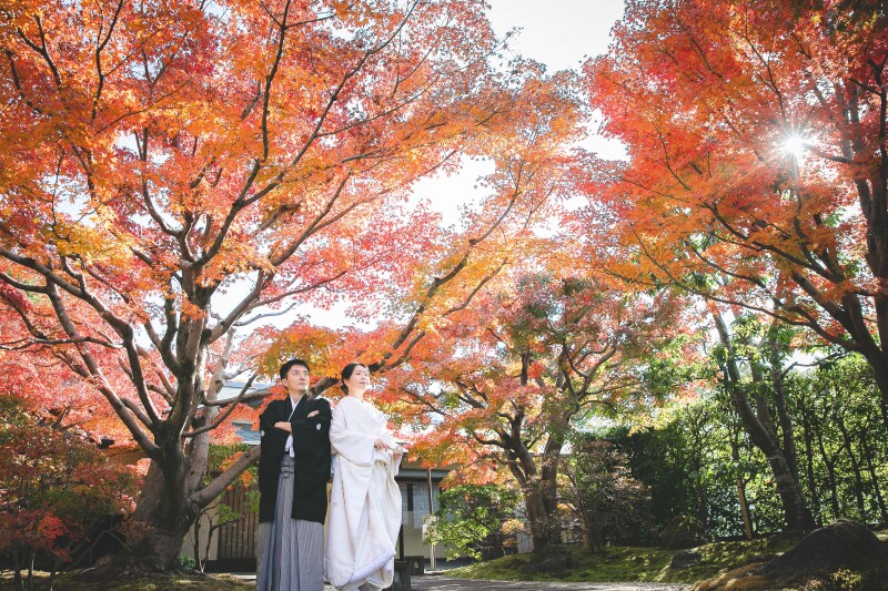 茶室の玄関前で
