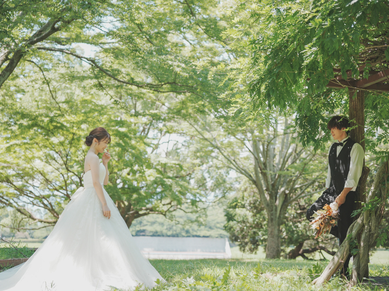 美しい緑に包まれて