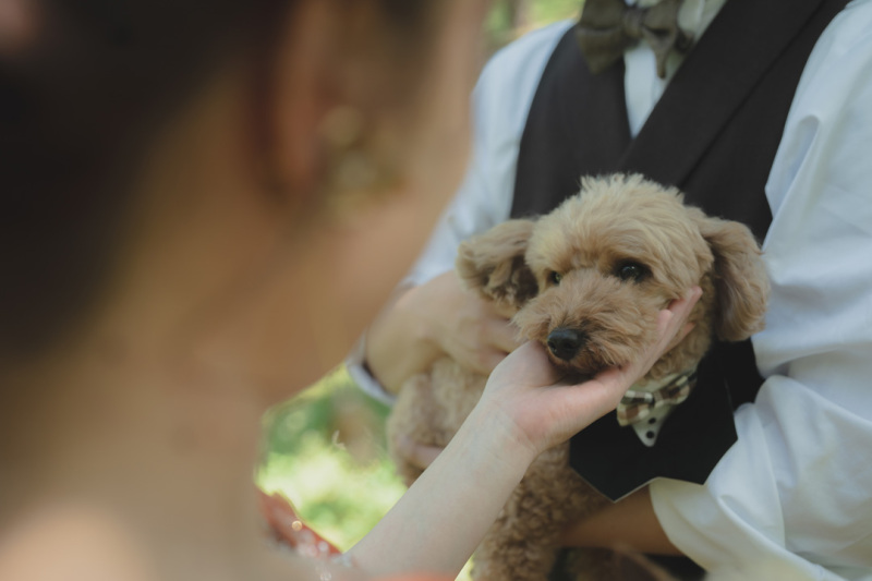 STUDIO IDEE スタジオイディ（ドレスショップ ボンクルール内）_ペットと一緒に撮影できる