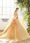 NC9958＊＊＊＊＊