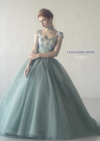 LS20955＊＊＊＊＊