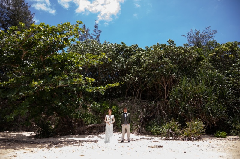 グリーンもいれて