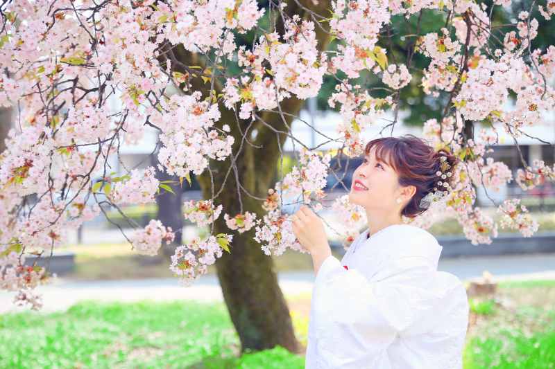【白無垢】桜ロケーション撮影
