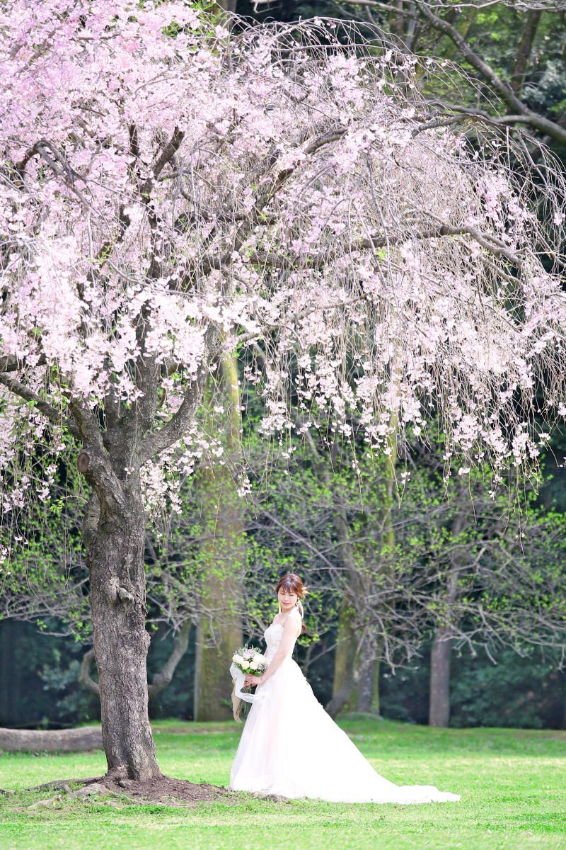【春のロケーションフォト】人気の春撮影はお早めに！　撮影全データ付き