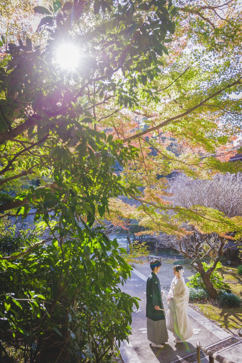 緑豊かな妙本寺