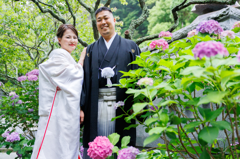 妙本寺では季節のお花とお写真が撮れます
