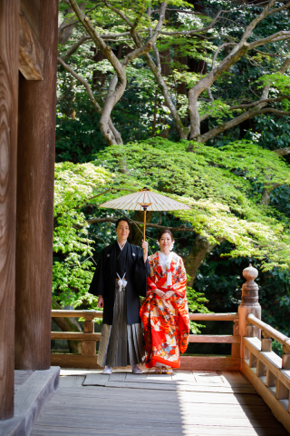 cocomi film_妙本寺