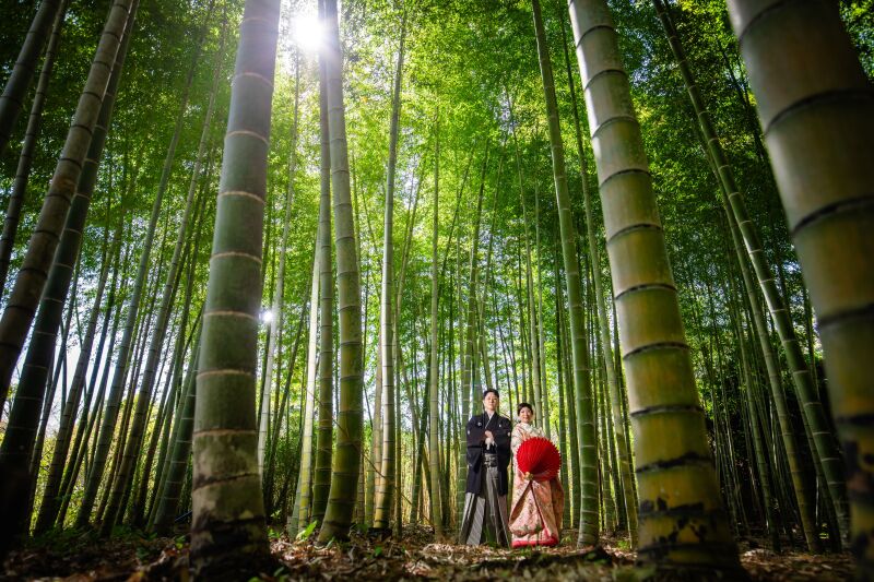 鎌倉建長寺和装ロケーションプラン