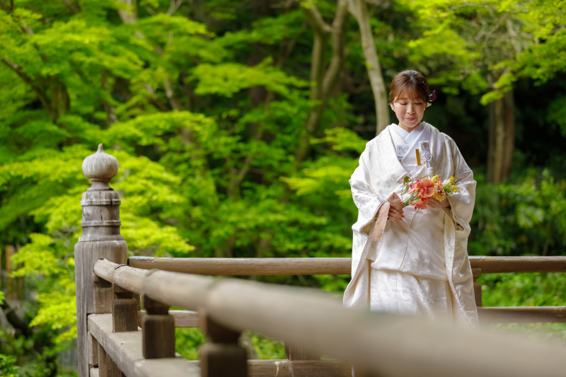 鎌倉妙本寺和装ロケーションプラン