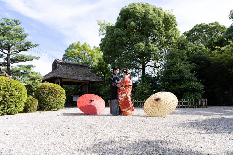 緑×青空が綺麗!