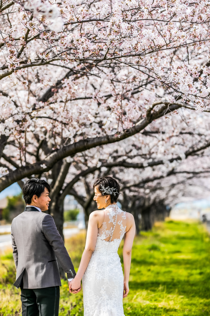 満開の桜をバックに