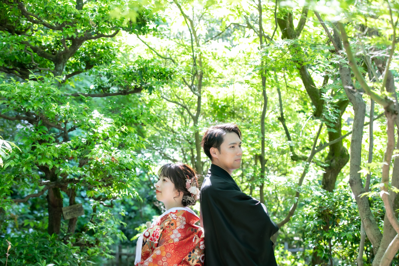 輝く緑が美しい