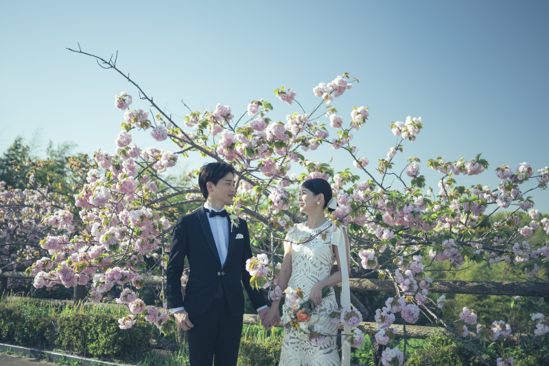 かわいいお花が満開♪