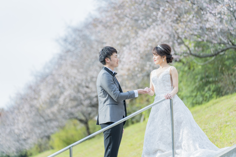 満開の桜!風ショット♪