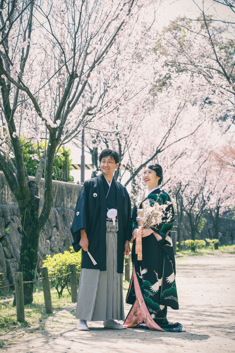 咲き誇る桜とも撮影