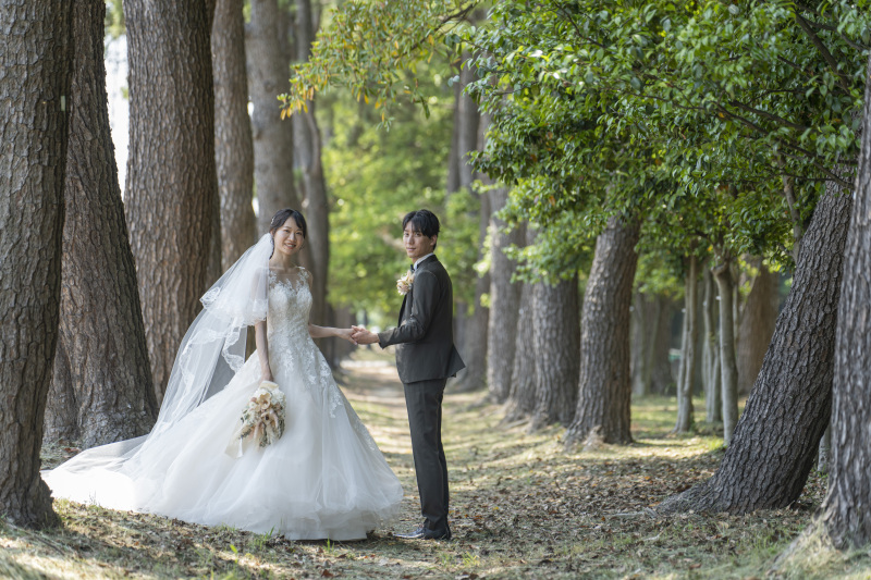 メタセコイヤ並木風ショット
