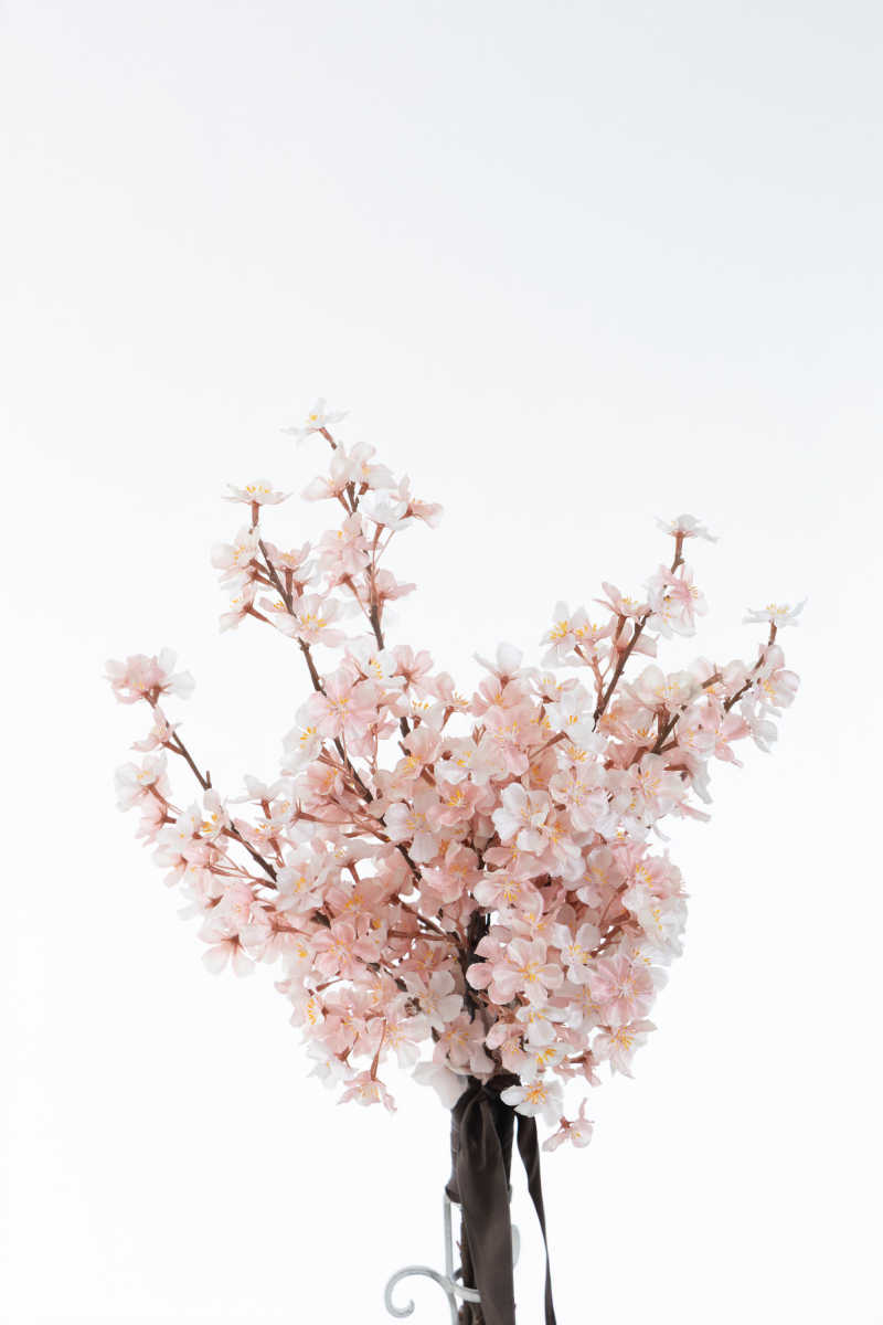 BQF-002