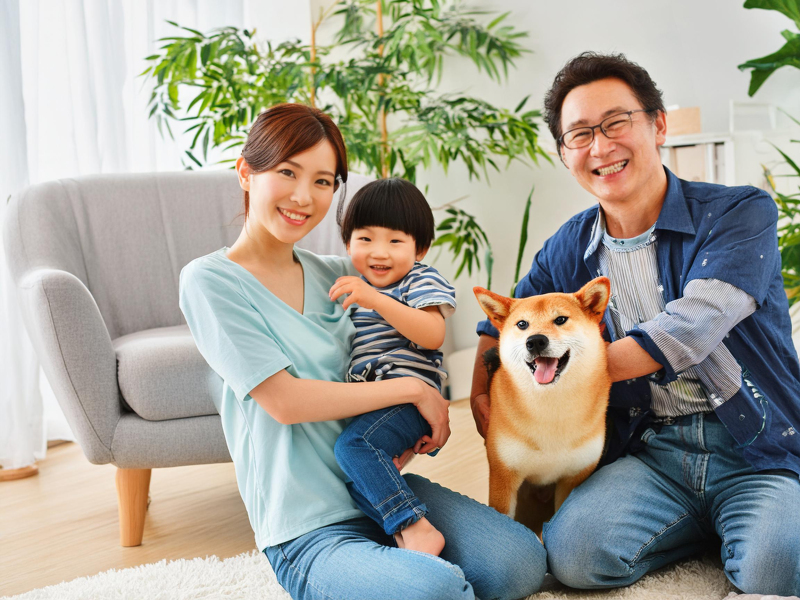 arte KiKi_ペットと一緒に撮影できる