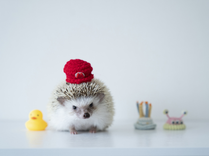 お気軽にご相談ください!