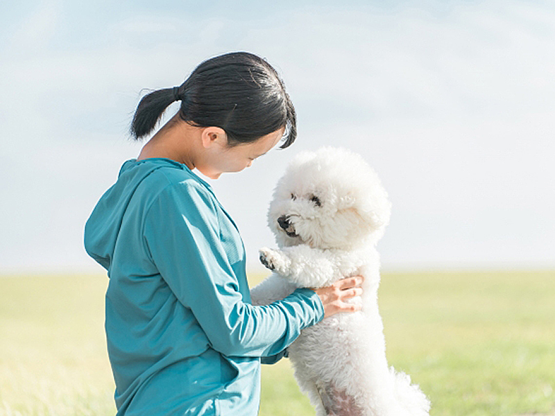 arte KiKi_ペットと一緒に撮影できる