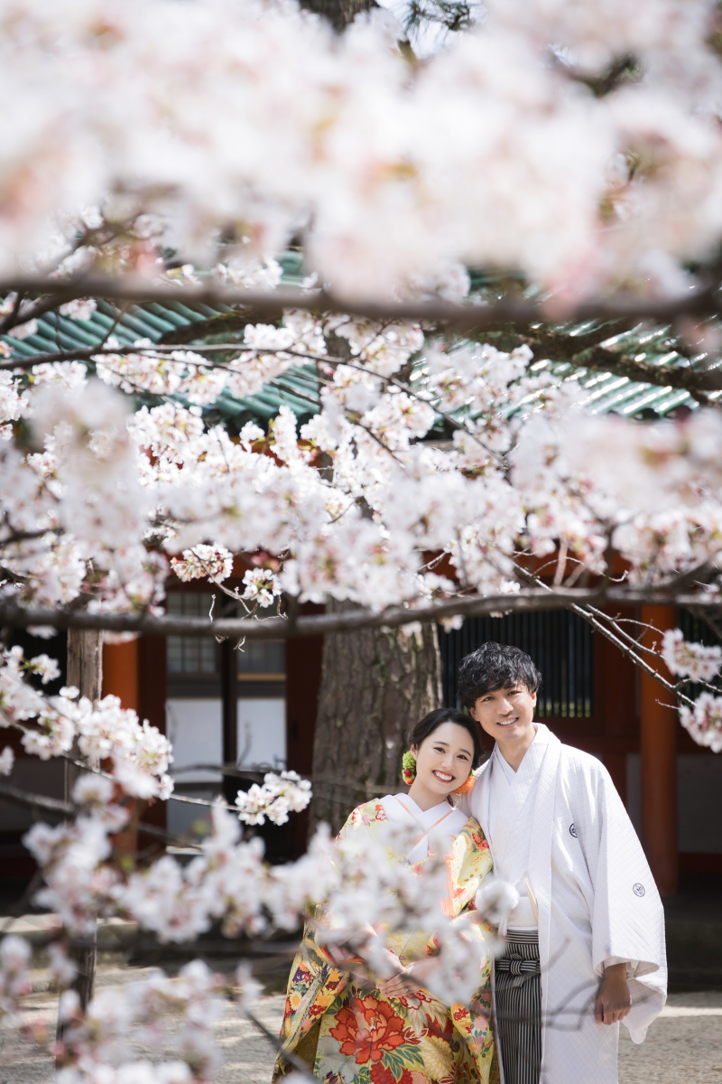 【5月末まで！30組限定50％OFF】和装ロケ＋洋装スタジオ｜270,600円&rarr;135,300円　有料衣装50％OFF