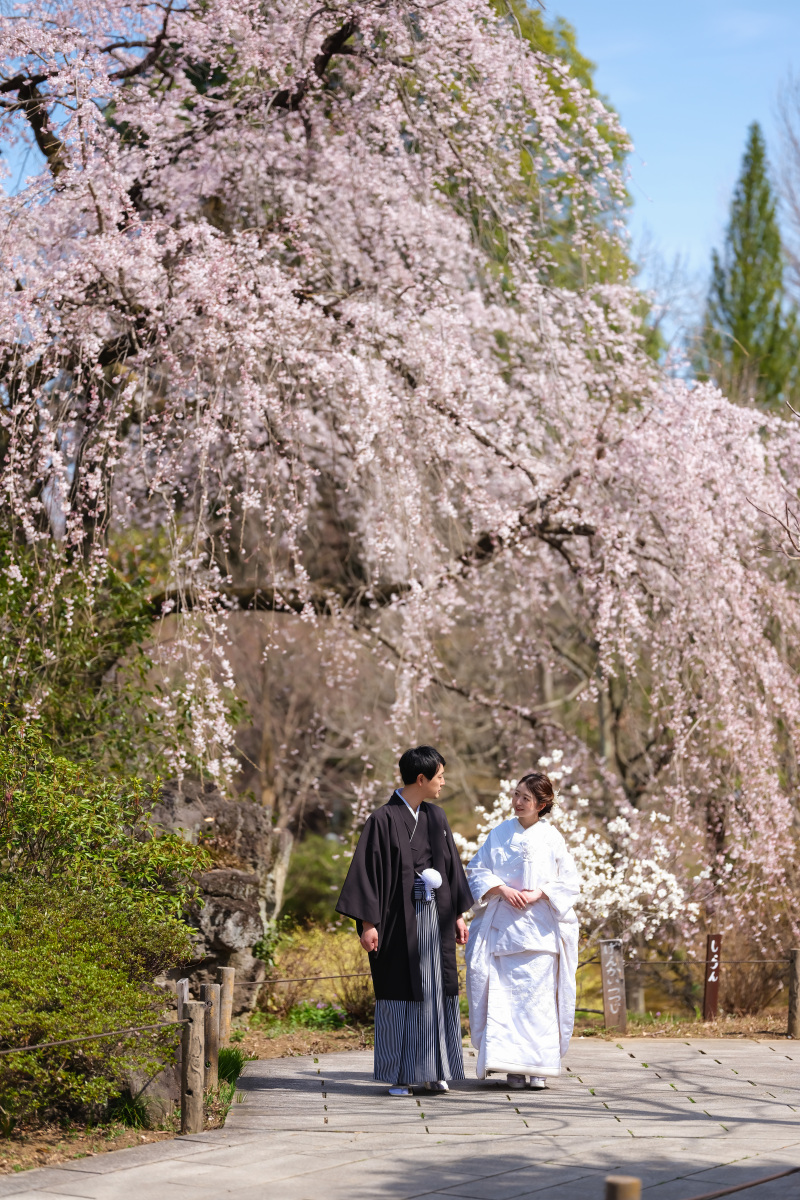 桜シーズンならでは