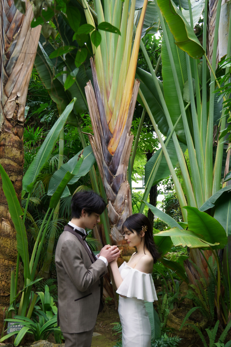 手を取りあって