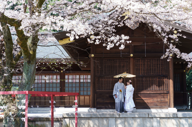 【2026年桜花期シーズンご撮影の方へ】桜キャンペーンBプラン◆&yen;89,800でデータ30カット◆新婦様グレードアップ衣装付き