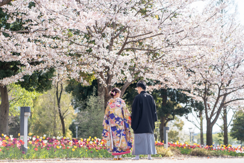 季節の桜とチューリップの下で