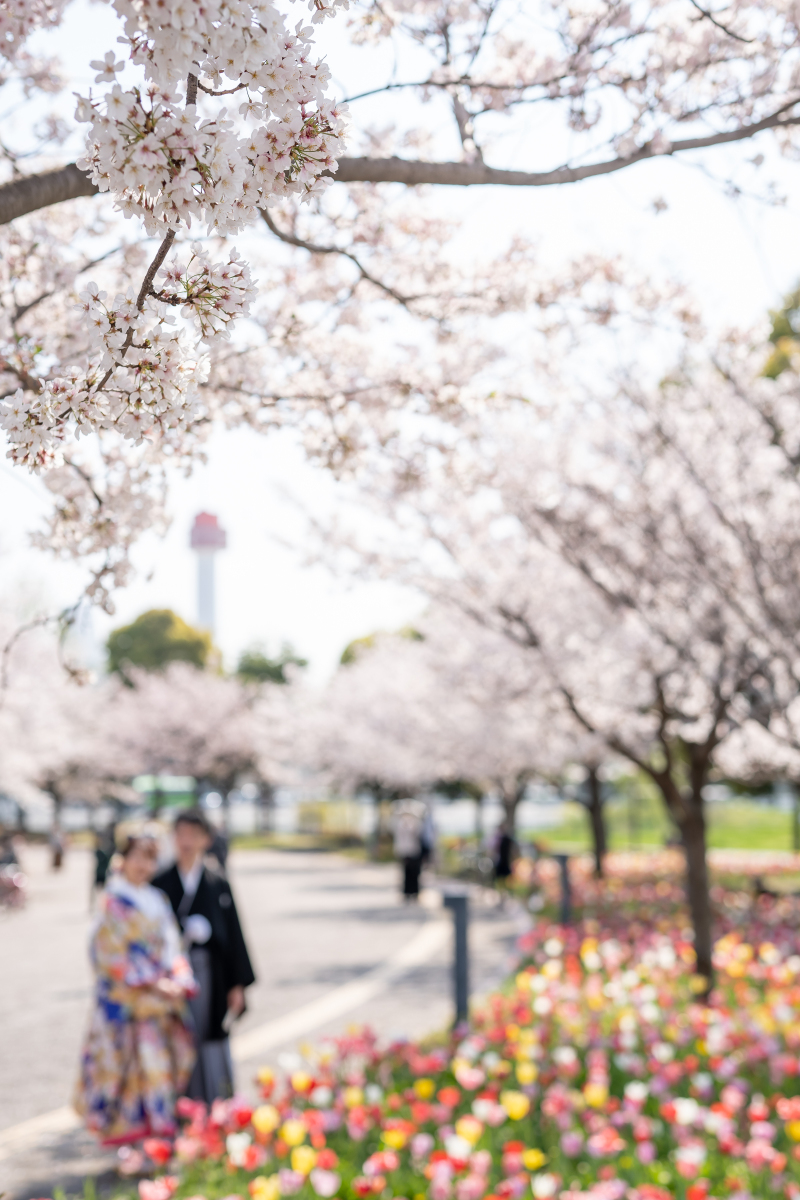 桜メインの雰囲気写真