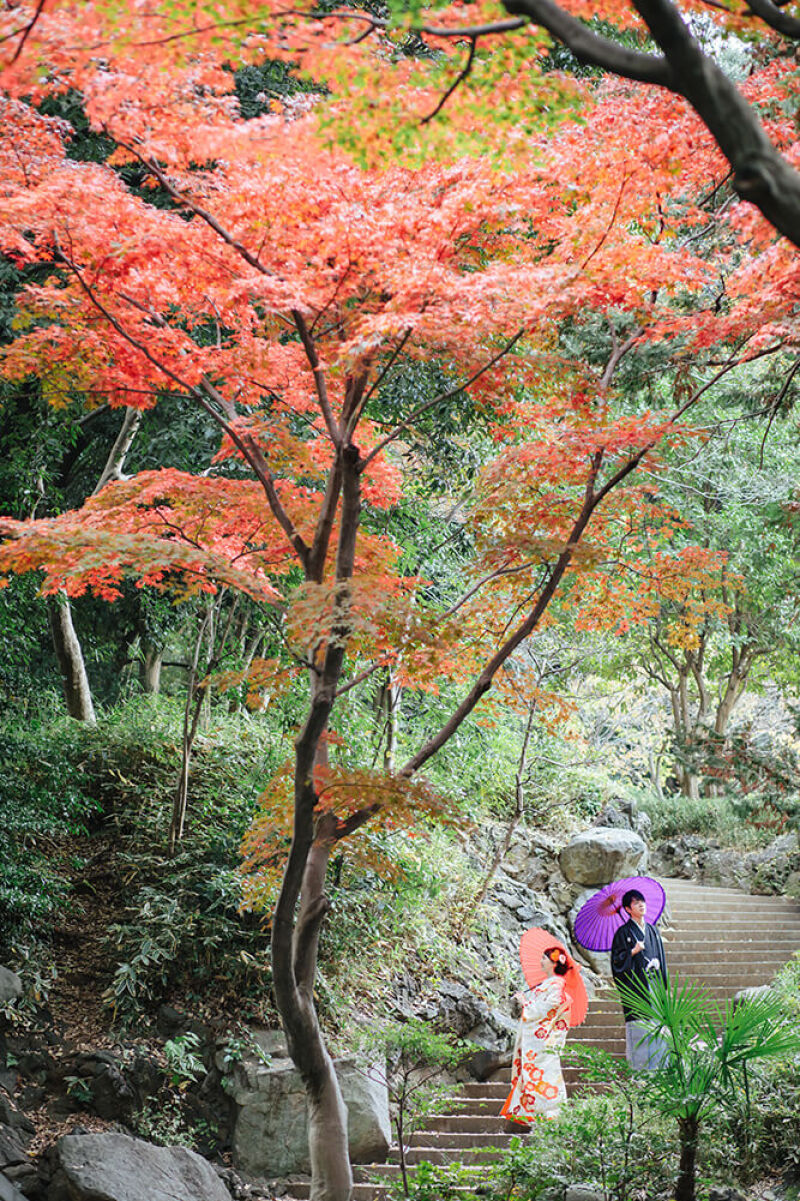 ラヴィファクトリー東京お台場店_庭園で撮影できる