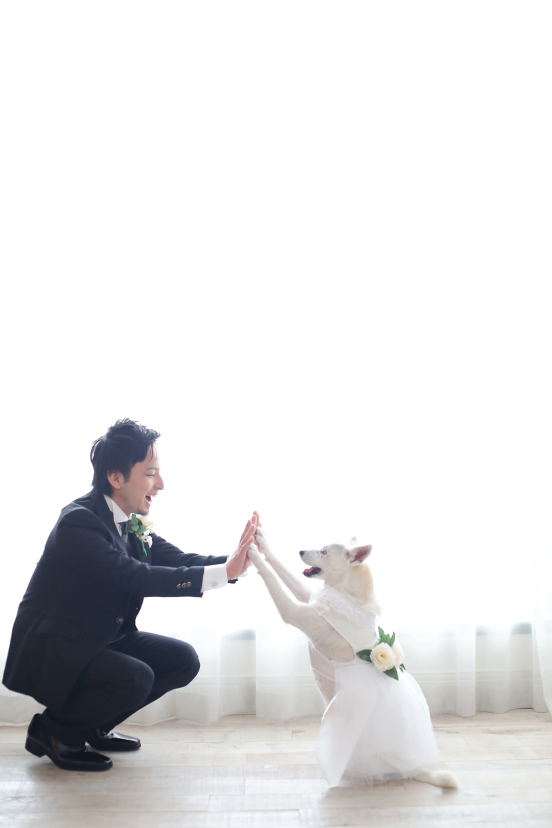 ラヴィファクトリー東京お台場店_ペットと一緒に撮影できる