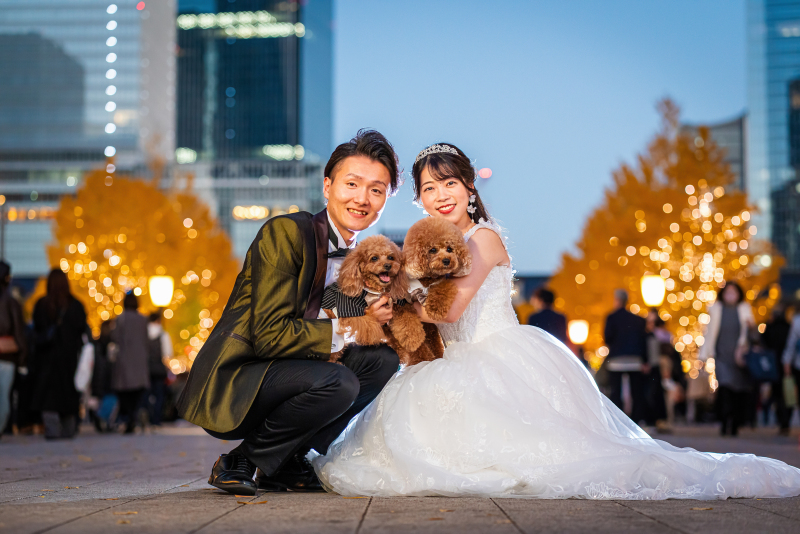 【ペットと一緒に撮影】東京駅＋丸の内イルミネーションのナイトプラン