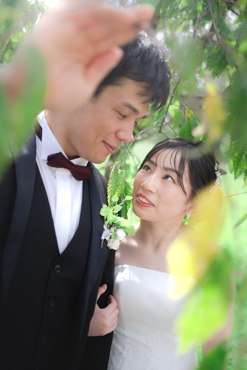 青々とした木々とのお写真