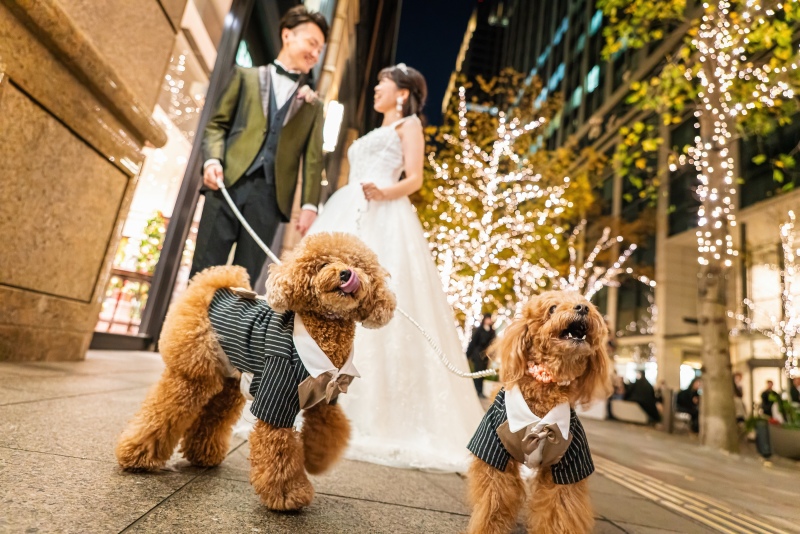 おめかししたワンちゃんがよく写るように