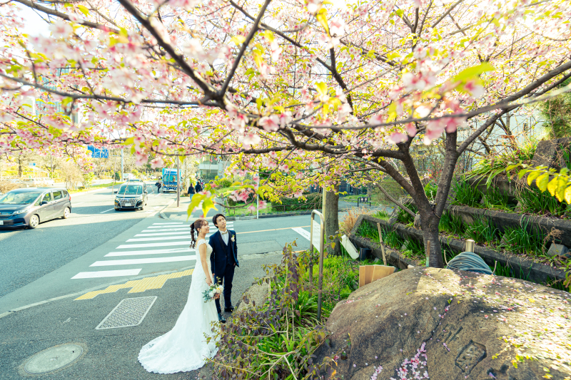 春の訪れも・・