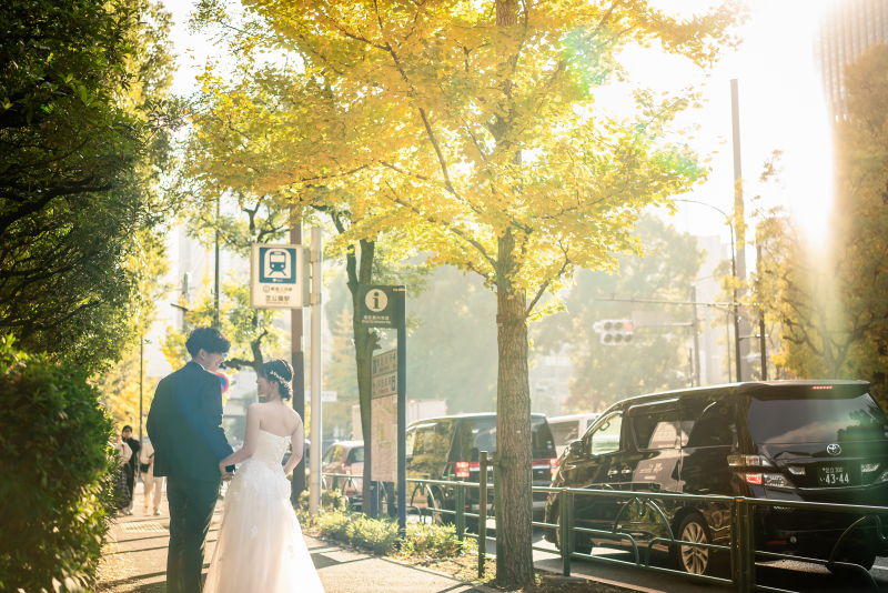 イチョウ並木と光のコントラスト