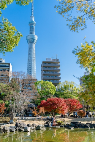 tagless tokyo（タグレス東京）_≪和装≫ 隅田公園ロケフォト