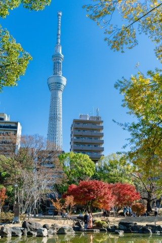 tagless Tokyo（タグレス東京）_【和装】 浅草周辺ロケフォト