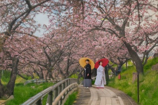 tagless tokyo（タグレス東京）_◇厳選ピックアップフォト◇