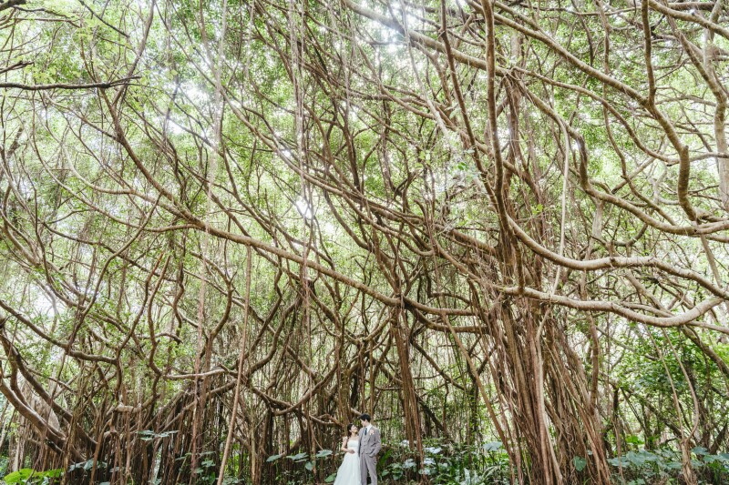 その場所の地形、太陽の位置等を考慮しながら、構図にもこだわって撮影します。希望のイメージ、リクエストにも柔軟に応えられるので、なんでも気軽に相談してください！