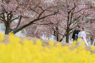 【早割☆桜撮影+おすすめSPOT☆2ロケーションコミコミ100カット】全データ&プレミアムドレス&プロヘアメイク付