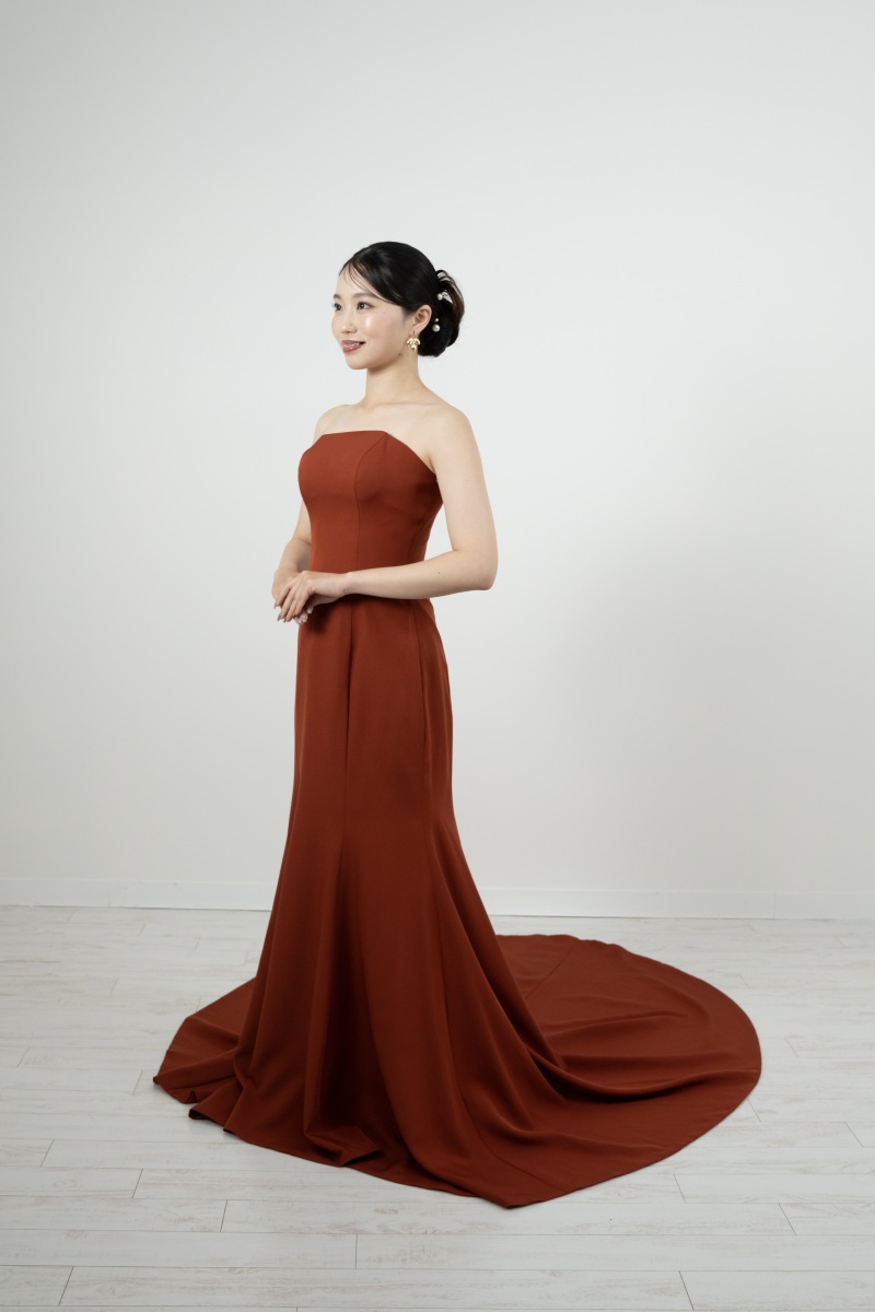 CD-19（レッドブラウン）