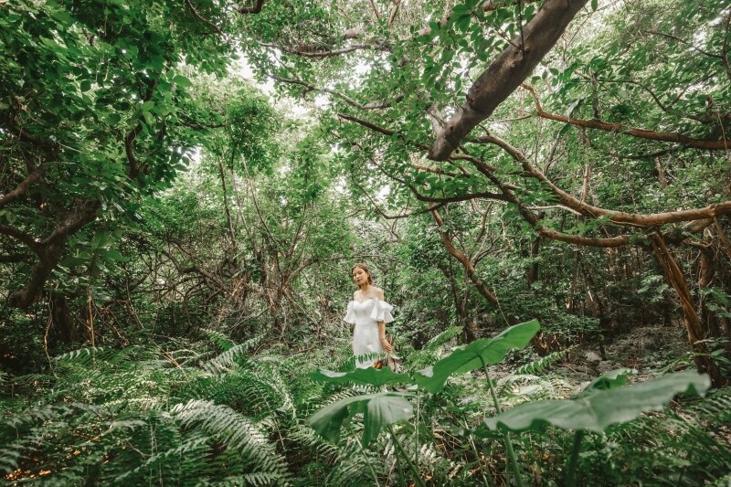 新婦様グリーンソロショット